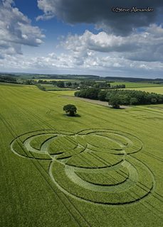 aerial of Long Wood from tt