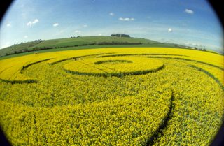 other of Barbury Castle
