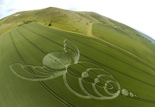 other of Milk Hill