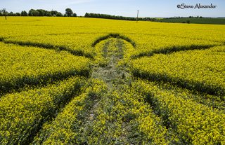 aerial of Willoughby Hedge from tt