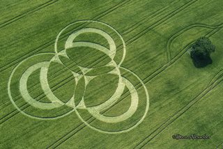 aerial of Long Wood from tt
