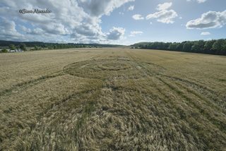 aerial of Norridge Wood from tt