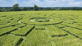 aerial of Sixpenny Handley from tt