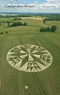 aerial of Burrow Hill Fort from tt