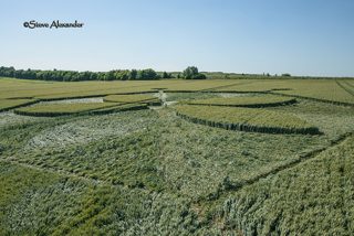 aerial of Yarnbury Castle from tt