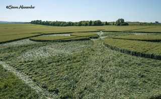aerial of Yarnbury Castle from tt