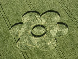 aerial of Pewsey White Horse