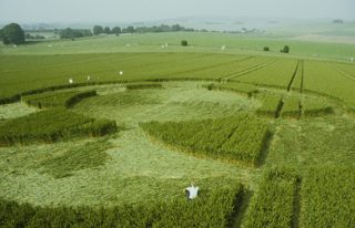 other of Avebury Stone Circle