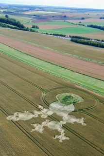aerial of Hinton Down