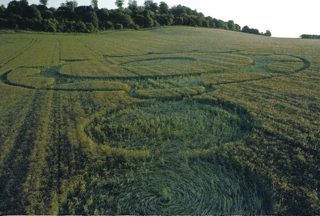 other of Danebury Rings