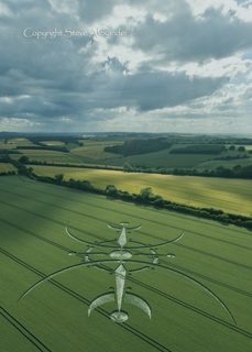 aerial of Clearbury Ring from tt