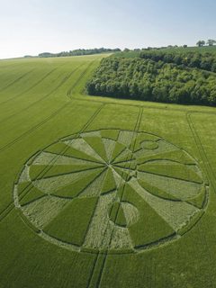 aerial of Liddington Castle from tt