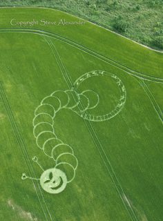 aerial of Boreham Woods