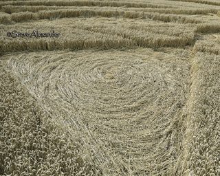 aerial of Preston Candover from tt