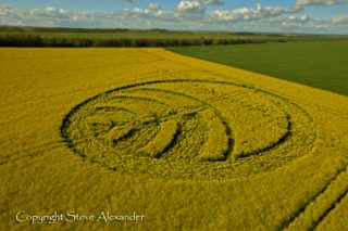 aerial of Yarnbury Castle