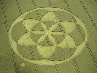 other of Froxfield