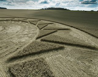 other of Roundway Hill from tt