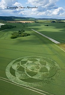 aerial of Fonthill Down from tt