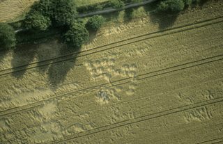 other of Cherhill White Horse