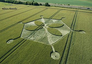 aerial of Yarnbury Castle from tt