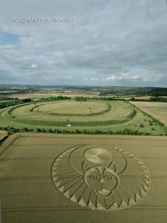 aerial of Figsbury Rings from tt