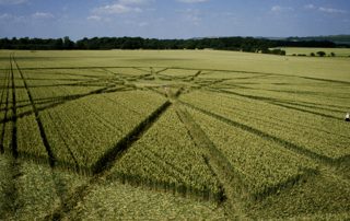 other of Cley Hill