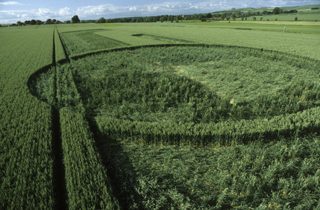 other of Silbury Hill