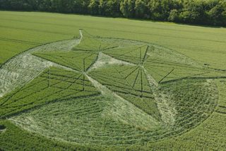 aerial of Savernake Forest from tt