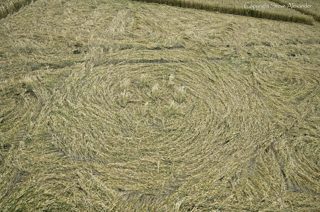 aerial of Etchilhampton from tt