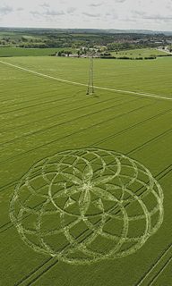 aerial of Bishops Cannings