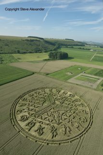 aerial of Ansty from tt