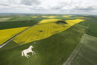 aerial of Roundway Hill from tt
