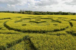 aerial of All Cannings from tt
