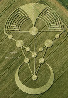 aerial of Badbury Rings from tt