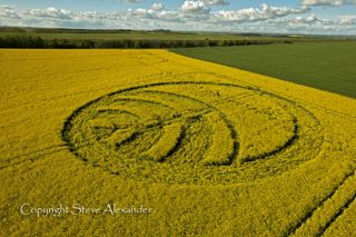 aerial of Yarnbury Castle from tt