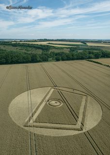 aerial of Gurston Ashes from tt