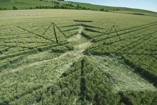 aerial of Hackpen Hill from tt