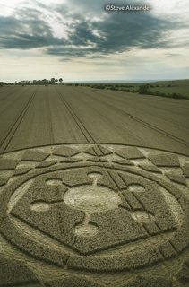 aerial of Roundway Hill from tt