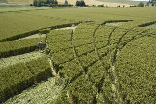 other of Silbury Hill from tt