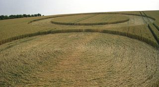 other of Wilsford Down