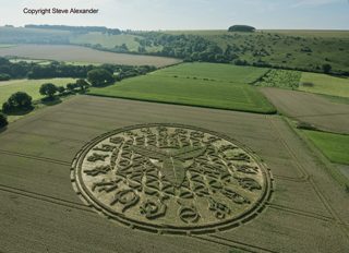 aerial of Ansty from tt