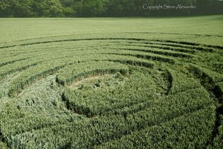 aerial of Tichborne from tt