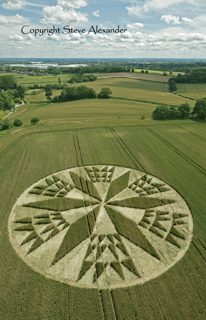 aerial of Burrow Hill Fort from tt