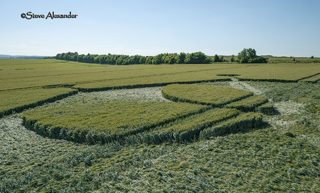 aerial of Yarnbury Castle from tt