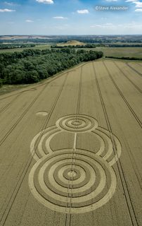 aerial of Tawesmead Copse from tt
