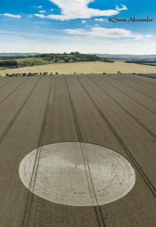 aerial of Danebury Rings