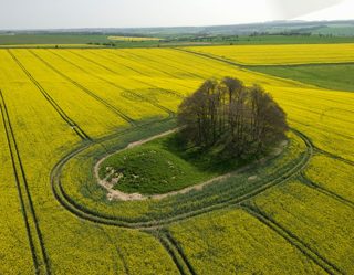 aerial of Avebury from tt