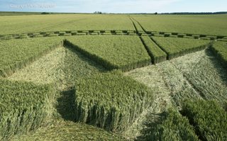 aerial of Stonehenge from tt