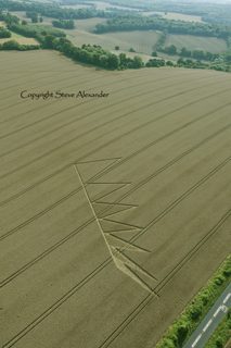 aerial of Longwood Road
