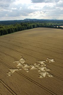 aerial of Savernake Forest